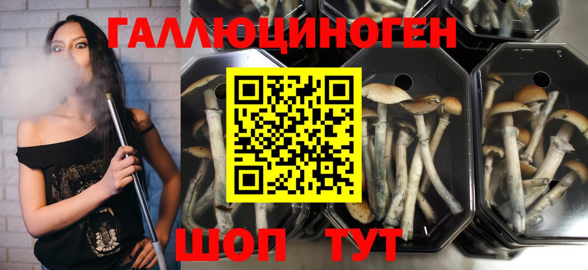 Галлюциногенные грибы MAGIC MUSHROOMS Ирбит