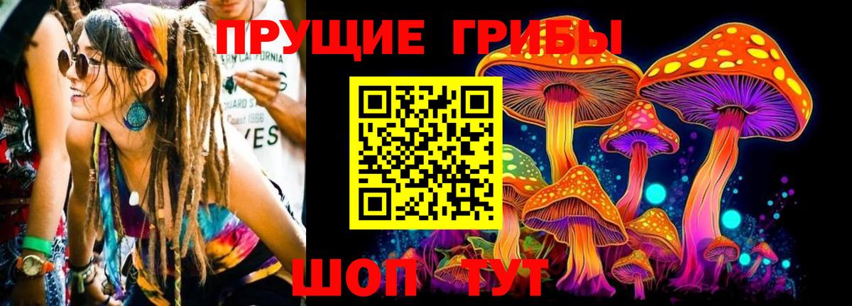 Галлюциногенные грибы Psilocybine cubensis  Вход с VPN  Ирбит 